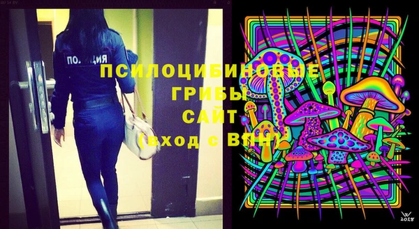 молекула духа Наволоки